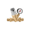 Regulator ciśnienia z wskaźnikiem nastawy 1 1/4" z wkładem