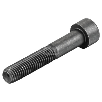 śruba z łbem walcowym