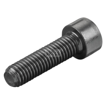 śruba z łbem walcowym