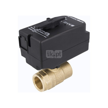 Zawór wodny AFRISO BEV 230 V AC GW 1'' x GW 1''