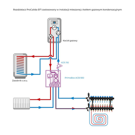 Rozdzielacz do ogrzewania podłogowego AFRISO ProCalida EF1 10-obieg. poliamid GZ 1'' x Euroconus 3/4''