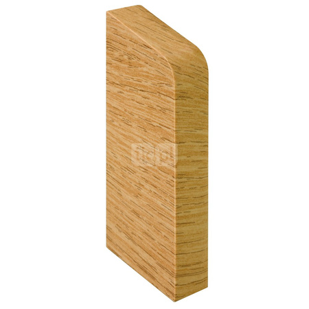 ZAKONCZENIE LEWE N - klon