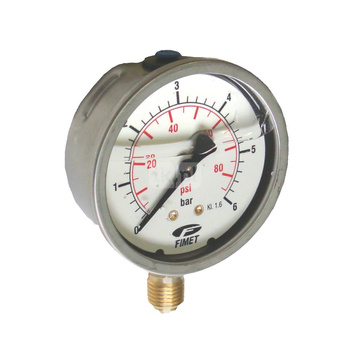 MG1-INOX 100 0-60 G1/2B /D+LF