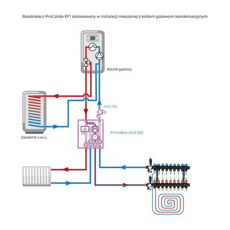 Rozdzielacz do ogrzewania podłogowego AFRISO ProCalida EF1 9-obieg. poliamid GZ 1'' x Euroconus 3/4''