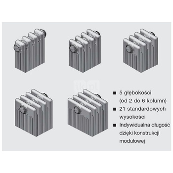 Grzejnik Zehnder Charleston, 3060 - 14 elem., Kolor Biały (RAL 9016), Typ złącza Code V001, Wersja zaworu M30x1.5, Ustawienie wstępne Ustawienie wstępne VE9, Zintegrowane konsole naścienne Konsole scienne SMB, Ilość zest naściennych 2