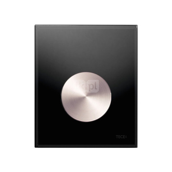 Przycisk spłukujący do stelaża do pisuaru (Mechaniczny) TECE loop szkło, kolor czarny / stal nierdzewna szczotkowana "anti-fingerprint"