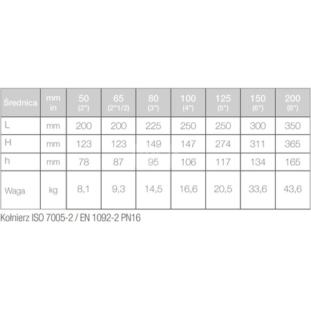 Wodomierz jednostrumieniowy WDEK50F65200 R160/R100