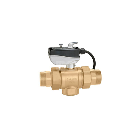 Dwudrożny zawór z napędem 1" 230V