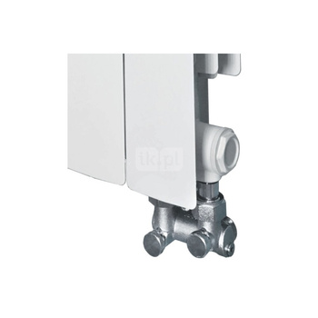 Grzejnik aluminiowy Gavia 50/D - 10-elementowy