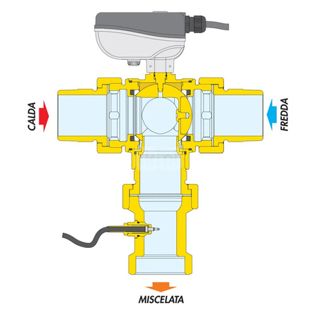 Elektroniczny zawór mieszający z programowalną dezynfekcją termiczną O3/4"M "ANTILEGIONELLA"