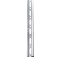 Szyna montażowa profil c FLAMCO MEIBES, szerokość otworu 10.5 mm tył perforowany stal