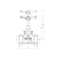 Zawór wodny PERFEXIM 1105 gw 2'' x gw 2''