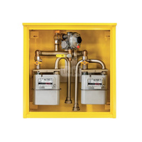 Punkt redukcyjno-pomiarowy na 2 gazomierze G4, w skrzynce metalowej 600x600x250 - żółty