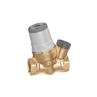 Mikro regulator ciśnienia wersja skośna do zastosowań specjalnych 3/8" z manometrem 0÷10 bar