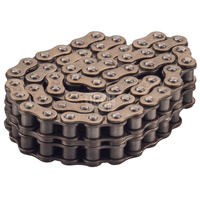 Zweifach-Rollenkette 34