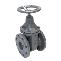 Zasuwa odcinająca DN 150 - żeliwo