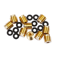 Zaślepka do ASV - 10 szt.