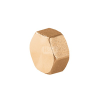 Zaślepka mosiądz PERFEXIM 5102 1'' gw, PN16 bar