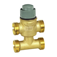 Zawór 3-drogowy z obejściem, GZ, DN15, G1/2" Kvs=0,25, uszczelnienie stożkowe, skok 6,5 mm