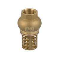 Zawór zwrotny FERRO z mosiężnym koszem ssącym - 1'', GW, PN 10, 100'C