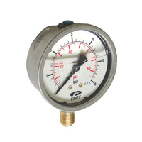 MG1-INOX 100 0-40 G1/2B /D+LF